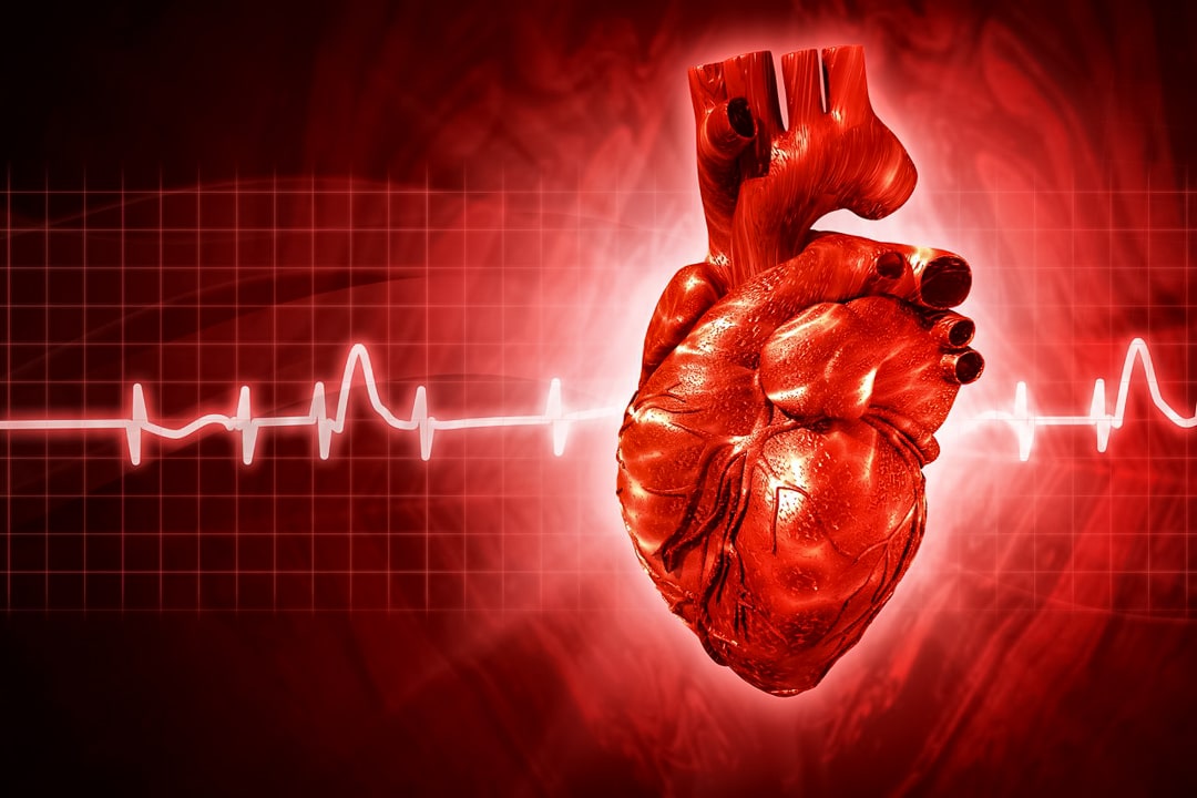 Угрожают ли вам заболевания сердечно-сосудистой системы? 